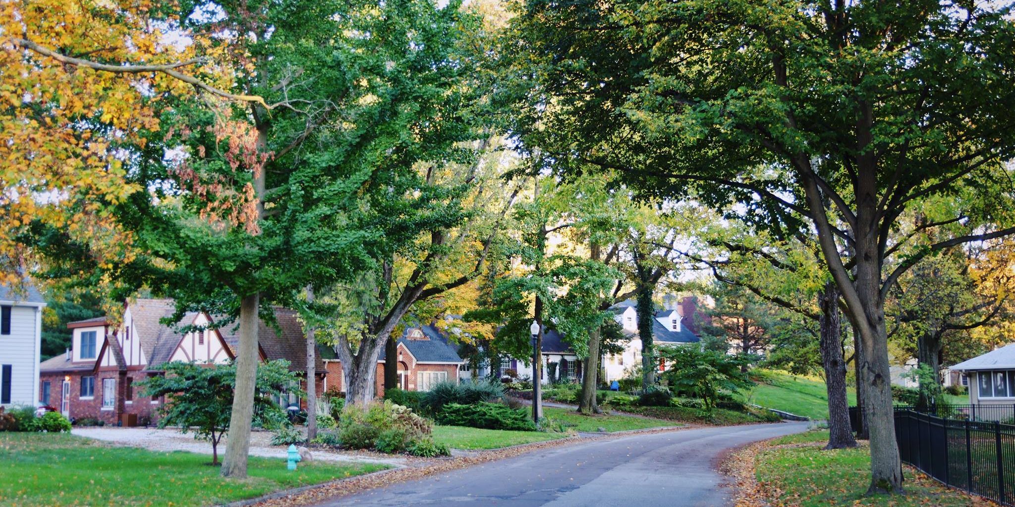 Forest Hills Annual Meeting Forest Hills Neighborhood Association